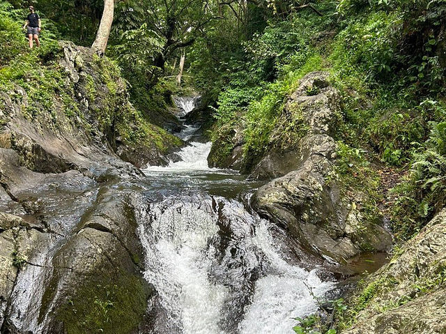 Waitavala Natural Rock Waterslide