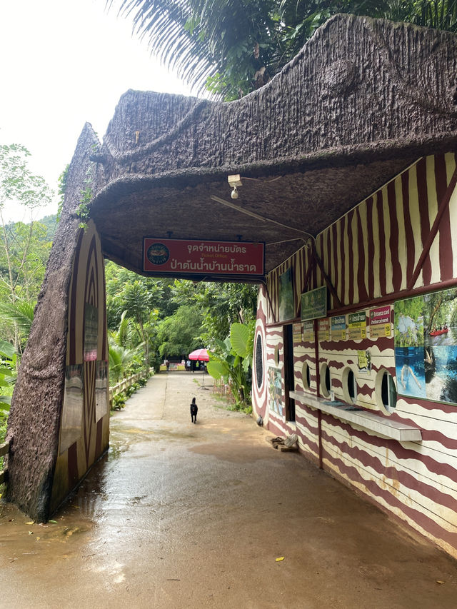 ✨🏞️ รีวิว ป่าต้นน้ำบ้านน้ำราด จ.สุราษฎร์ธานี ✨🏞️ ✨🏞️ รีวิว ป่าต้นน้ำบ้านน้ำราด จ.สุราษฎร์ธานี ✨🏞️