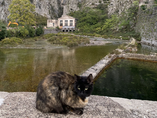 🏰🌊 Kotor — Where Mountains Touch the Sea 🏰🌊 Kotor — Where Mountains Touch the Sea