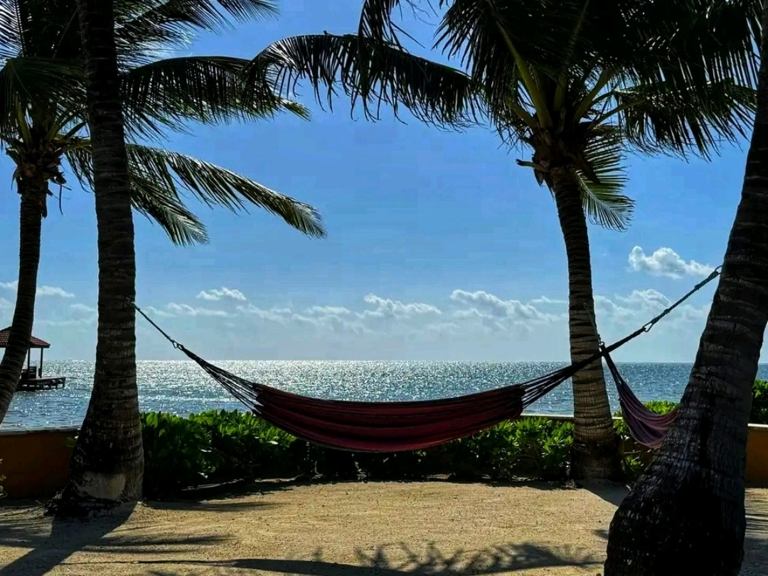 🏝️✨ เกาะแอมเบอร์กริส – อัญมณีเขตร้อนแห่งเบลีซ