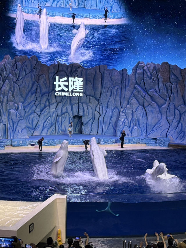 Zhuhai Chimelong Ocean Kingdom 🎡🐬