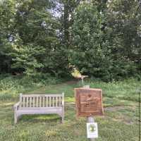 Winterthur Museum, Garden & Library