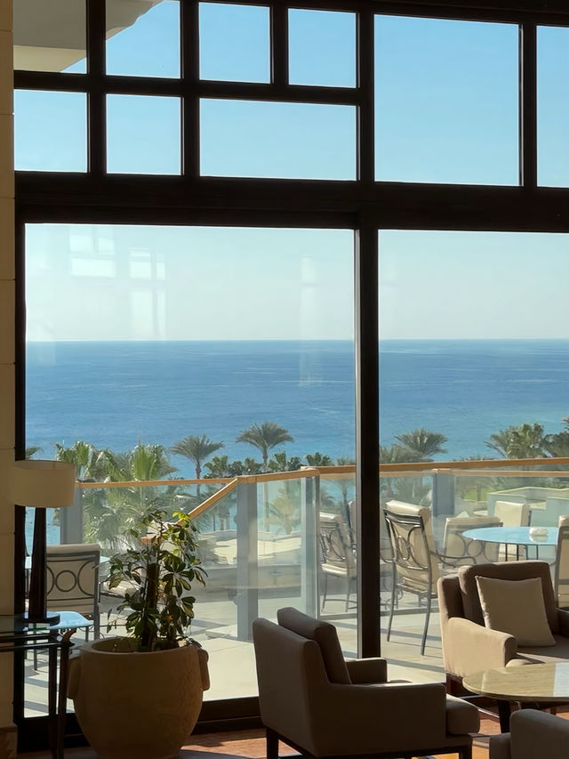 🌴 샤름 엘 셰이크 1박 2일 여행 코스 🐪 🌴 샤름 엘 셰이크 1박 2일 여행 코스 🐪