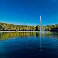 Autumn Splendor at Parc de Sceaux
