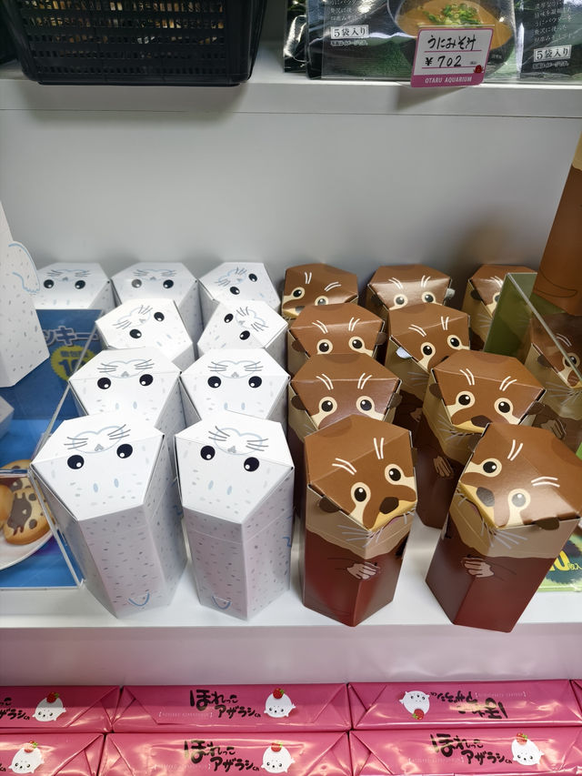 親子必去水族館人氣景點 親子必去水族館人氣景點