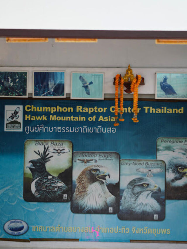 ⛰️ ดูเหยี่ยวชมวิว จุดชมวิวเขาดินสอ