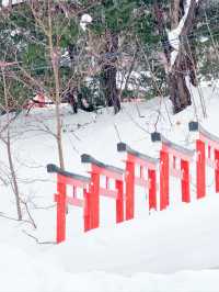 ❄️이색적인 겨울 삿포로 3박 4일 여행일정