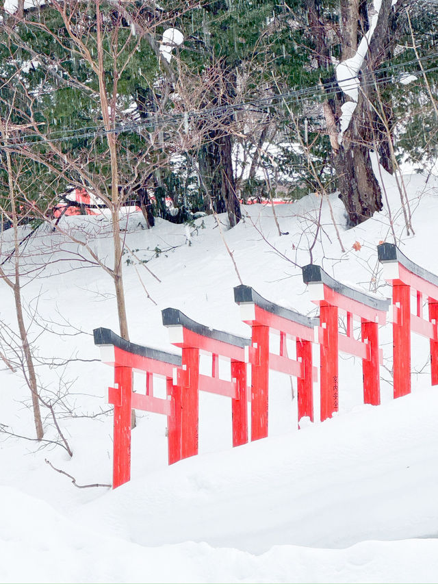 ❄️이색적인 겨울 삿포로 3박 4일 여행일정