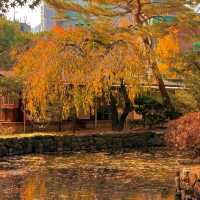 🏛️ Jongmyo Shrine – Seoul’s Timeless Confucian Heritage