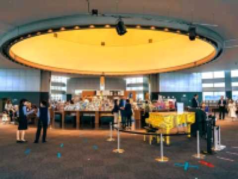 🏙️ Tokyo Metropolitan Government Building South Observatory — A Sky-High View for Free