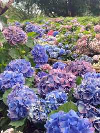 一起來野餐嗎?台北人口中的安森就是這裡!