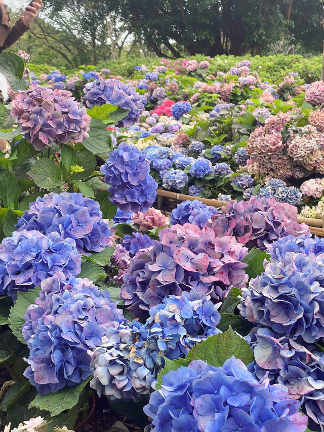 一起來野餐嗎?台北人口中的安森就是這裡! 一起來野餐嗎?台北人口中的安森就是這裡!