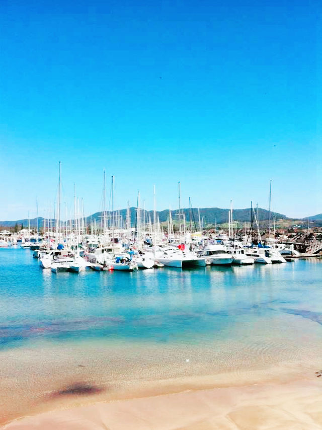 澳洲海邊慢活散步必去島嶼🌊  