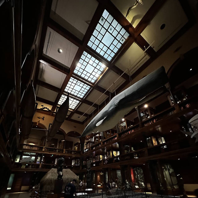 Bishop Museum Bishop Museum