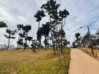 Evergreen Garden: Pyeongtaek’s Secret Sanctuary of Stillness🌿