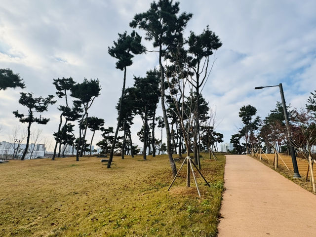 Evergreen Garden: Pyeongtaek’s Secret Sanctuary of Stillness🌿