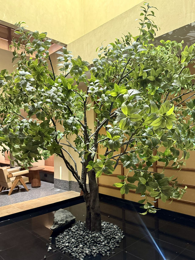 다리고성 삼월가에 위치한 접근성 좋은 아투어 호텔🏨