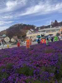 Yongin Autumn Vibes๐