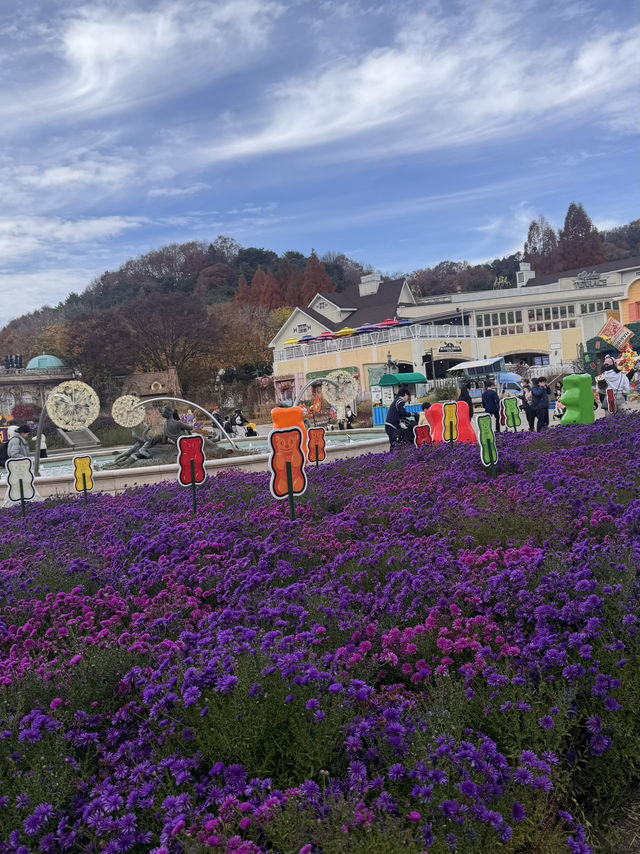 Yongin Autumn Vibes๐ Yongin Autumn Vibes๐