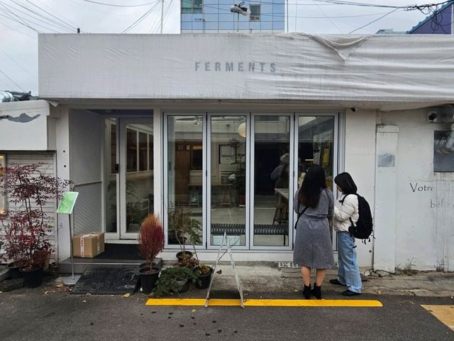 🍄🔥 Ferments — “Mushroom Magic & Global Comfort Hits in One Cozy Spot!”