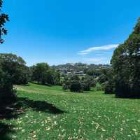 เดินชิลที่ Monte Cecilia Park สูดอากาศดีเต็มปอด