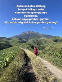 SWISSNYA INDONESIA VERSI JAWA TENGAH