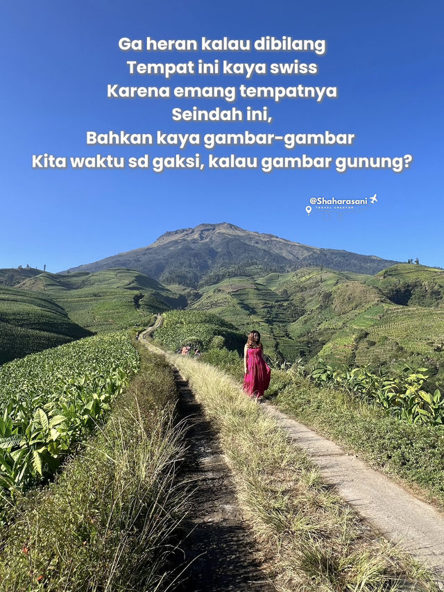 SWISSNYA INDONESIA VERSI JAWA TENGAH SWISSNYA INDONESIA VERSI JAWA TENGAH