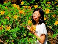 วัดหลวงขุนวิน วัดสวยกลางป่า