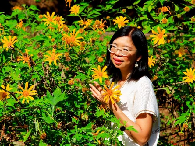 วัดหลวงขุนวิน วัดสวยกลางป่า วัดหลวงขุนวิน วัดสวยกลางป่า