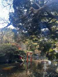 平塚弁財天社(ひらつか べんざいてんしゃ)