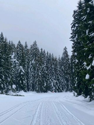 Bansko: The Beating Heart of Bulgarian Skiing