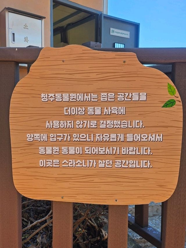 🐯동물들을 사랑하는 동물원 청주랜드동물원 다녀오기🦁 🐯동물들을 사랑하는 동물원 청주랜드동물원 다녀오기🦁