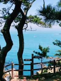 韓國🇰🇷大王岩公園