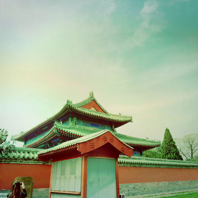 Temple Trail Magic ✨ Temple Trail Magic ✨