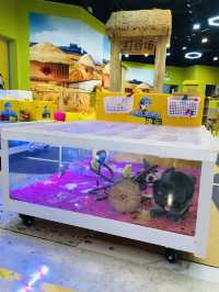 親子寵物樂園治癒一日遊🐰