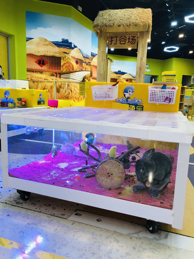 親子寵物樂園治癒一日遊🐰 親子寵物樂園治癒一日遊🐰