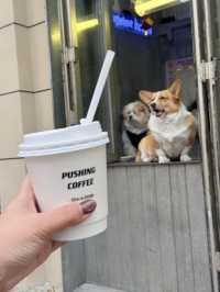 เซี่ยงไฮ้แบบไม่มีแพลน เน้นชิล 🎄✨