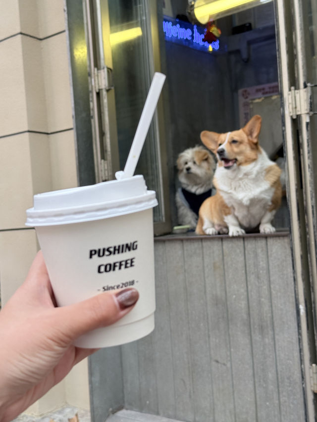 เซี่ยงไฮ้แบบไม่มีแพลน เน้นชิล 🎄✨