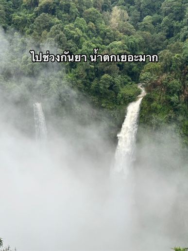 1mi23224x98d9vb49A8BB.jpg?proc