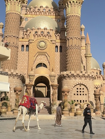 エジプト】鳥肌‼️一度体験してみてほしいアラビアンナイトの世界