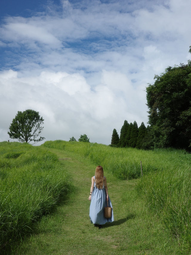 大自然満喫!春から秋にオススメの阿蘇の絶景スポット