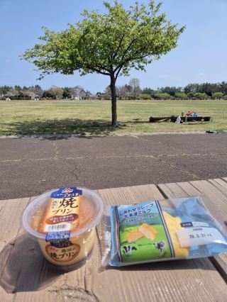 A Light Picnic, Yoshida Park & Ministop.