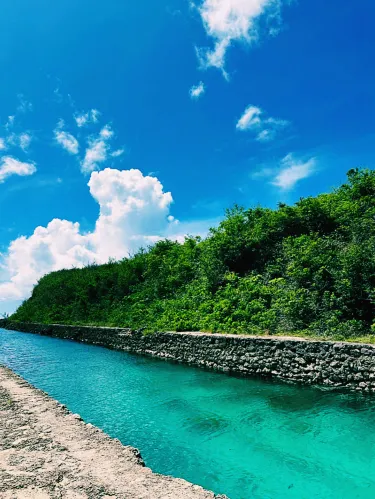 森の中に広がるエメラルドグリーンの水面、エメラルドバレー。 | Trip 