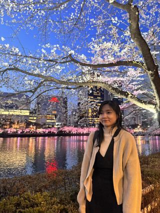 Seoul Like a Local: Explore the City with a Transport Card 🏙️