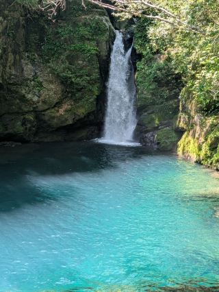 [Kochi] The jewel-like Niyodo Blue.
