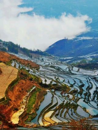 🌾 Yuanyang Rice Terraces | A Masterpiece Carved by the Hani People
