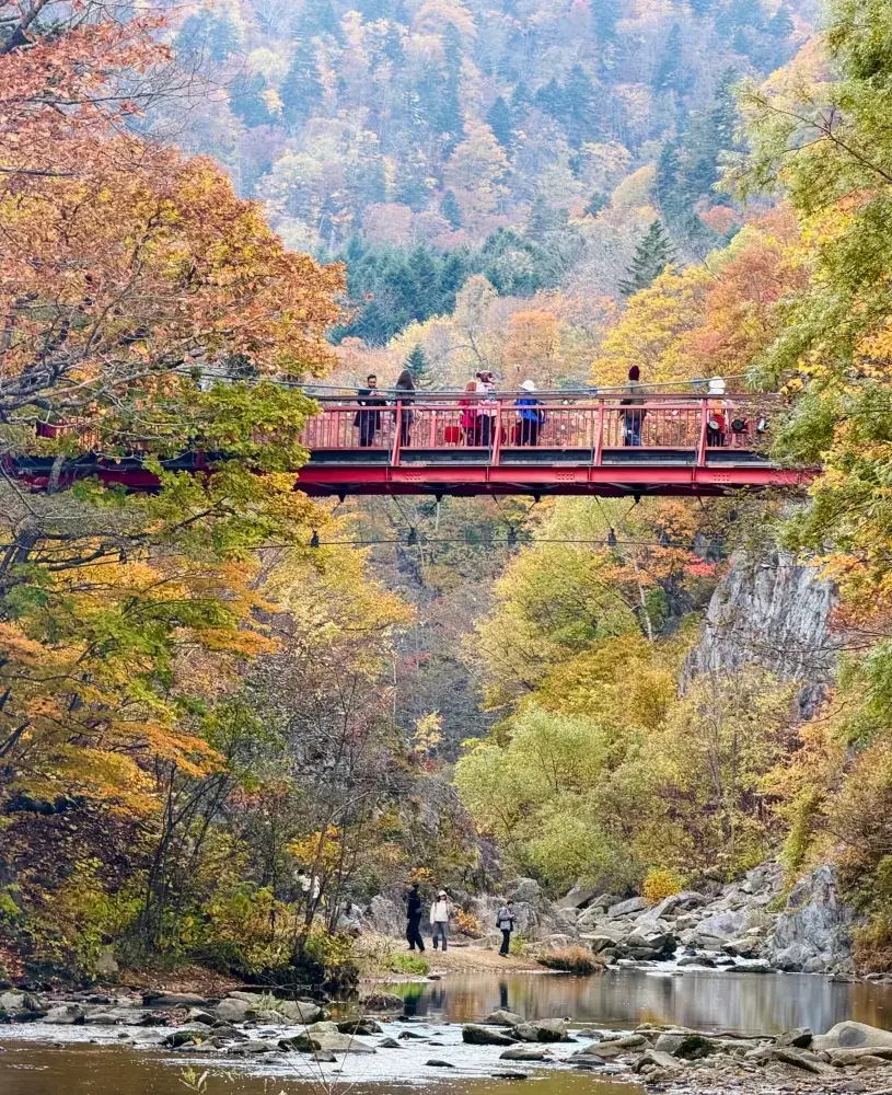 🍁 조잔케이: 내게 삶의 여유를 선사한 홋카이도의 숨겨진 온천 마을 ♨️🇯🇵