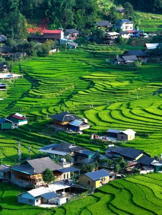 🌾⛰️ Sapa’s Rice Terraces Are One of Vietnam’s Most Breathtaking Landscapes