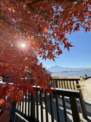 เจอฟูจิซังเต็มตา ท่ามกลางใบไม้เปลี่ยนสีที่คาวากุจิโกะ - ฝันที่เป็นจริง! 🍁🗻