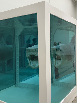 🦈🇰🇷Would You Call This Beautiful? Damien Hirst in Seoul